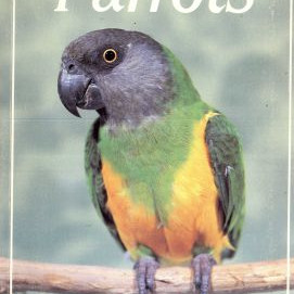 PARROTS