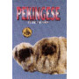 PEKIGNESE