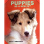 PUPPIES AS A NEW PET