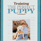 PUPPY TRAINING THE PERFECT