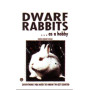 RABBITS DWARF AS A HOBBY