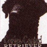 RETRIEVER, CURLY COATED