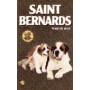SAINT BERNARDS