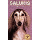 SALUKIS