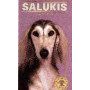 SALUKIS