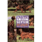 SETTER, IRISH GUIDE