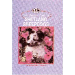 SHETLAND SHEEPDOGS PROPER CARE