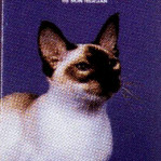SIAMESE CATS