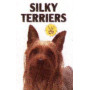 SILKY TERRIERS