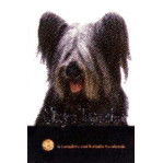 SKYE TERRIER