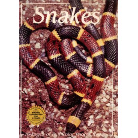 SNAKES