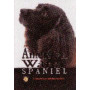 SPANIEL-AMERICAN WATER-