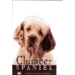 SPANIEL - CLUMBER-