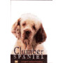 SPANIEL - CLUMBER-