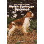 SPRINGER SPANIEL-WELSH