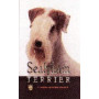 TERRIER SEALYHAM