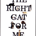 THE RIGHT CAT FOR ME
