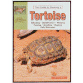 TORTOISES