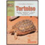 TORTOISES