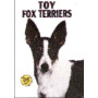 TOY FOX TERRIERS