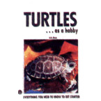 TURTLES AS A HOBBY