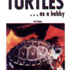 TURTLES AS A HOBBY