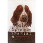 WELSH SPRINGER SPANIEL