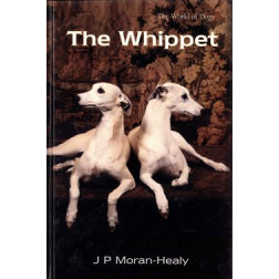WHIPPET