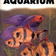 YOUR FIRST AQUARIUM