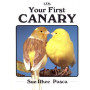 YOUR FIRST CANARY