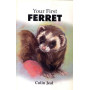 YOUR FIRST FERRET
