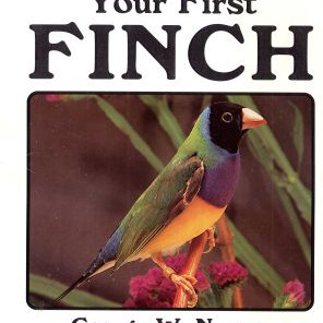 YOUR FIRST FINCH