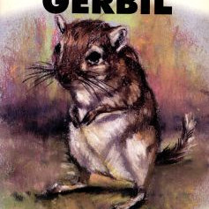 YOUR FIRST GERBIL