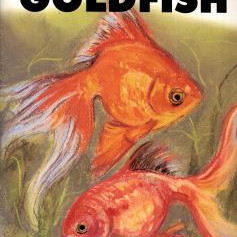 YOUR FIRST GOLDFISH