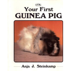 YOUR FIRST GUINEA PIG