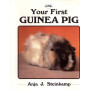 YOUR FIRST GUINEA PIG