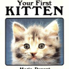 YOUR FIRST KITTEN
