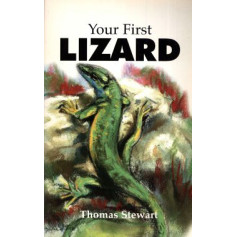 YOUR FIRST LIZARD