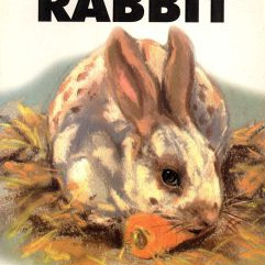 YOUR FIRST RABBIT