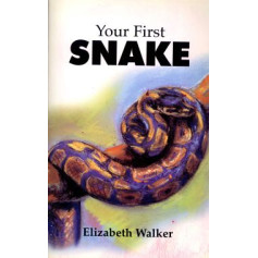 YOUR FIRST SNAKE
