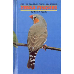 ZEBRA FINCHES