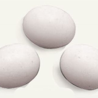 ΑΥΓΑ ΠΕΡΙΣΤΕΡΙΟΥ ΠΛΑΣΤΙΚΑ UOVA 2 (12 τμχ)