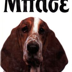 ΒΙΒΙΛΙΟ ΕΛΛ. ΜΠΑΣΕ