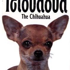 ΒΙΒΛΙΟ ΕΛΛ. ΤΣΙΟΥΑΟΥΑ