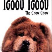 ΒΙΒΛΙΟ ΕΛΛ. ΤΣΟΟΥ ΤΣΟΟΥ