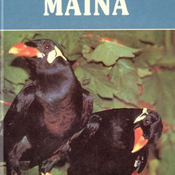 ΒΙΒΛΙΟ ΕΛΛΗΝΙΚΗ ΜΑΙΝΑ