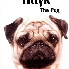 ΒΙΒΛΙΟ ΕΛΛΗΝΙΚΟ PUG