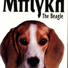 ΒΙΒΛΙΟ ΜΠΙΓΚΛ R.ROTH