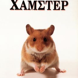 ΒΙΒΛΙΟ ΧΑΜΣΤΕΡ
