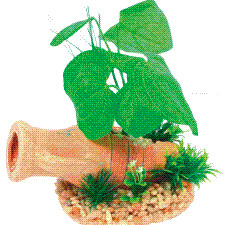 ΔΙΑΚ.ΑΜΦΟΡΕΑΣ ΑΙΓΥΠΤΙΑΚΟ ΜΕ ΦΥΤΑ 20E